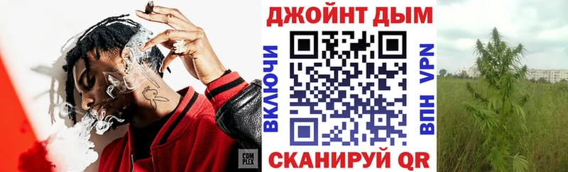 Купить где  Курчатов  Канабис планчик 